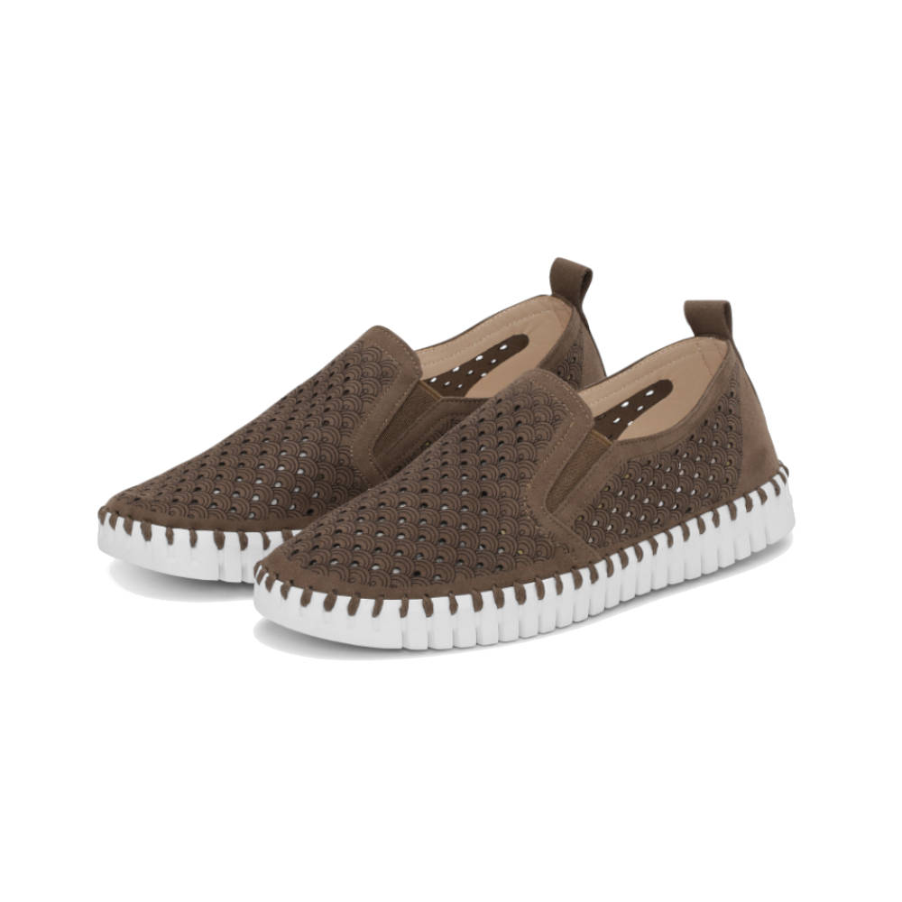 Tulip Gusset Women's