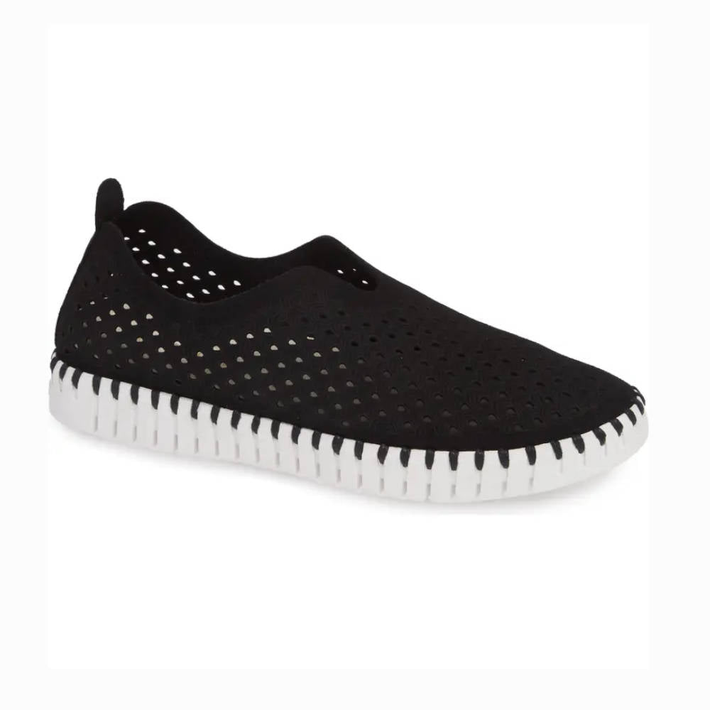 Tulip Women's