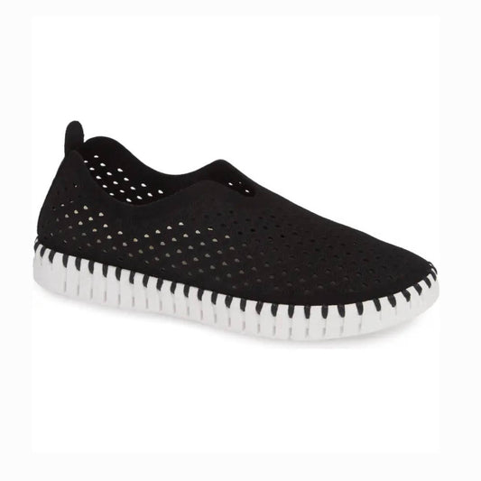 Tulip Women's